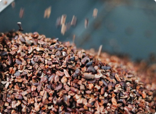 cocoa beans falling